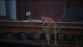 Me - Season 01 Episode 08